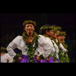 Merrie Monarch Festival 2014