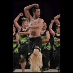 Merrie Monarch Festival 2015