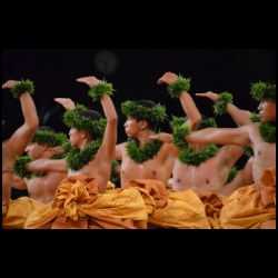 Merrie Monarch Festival 2013